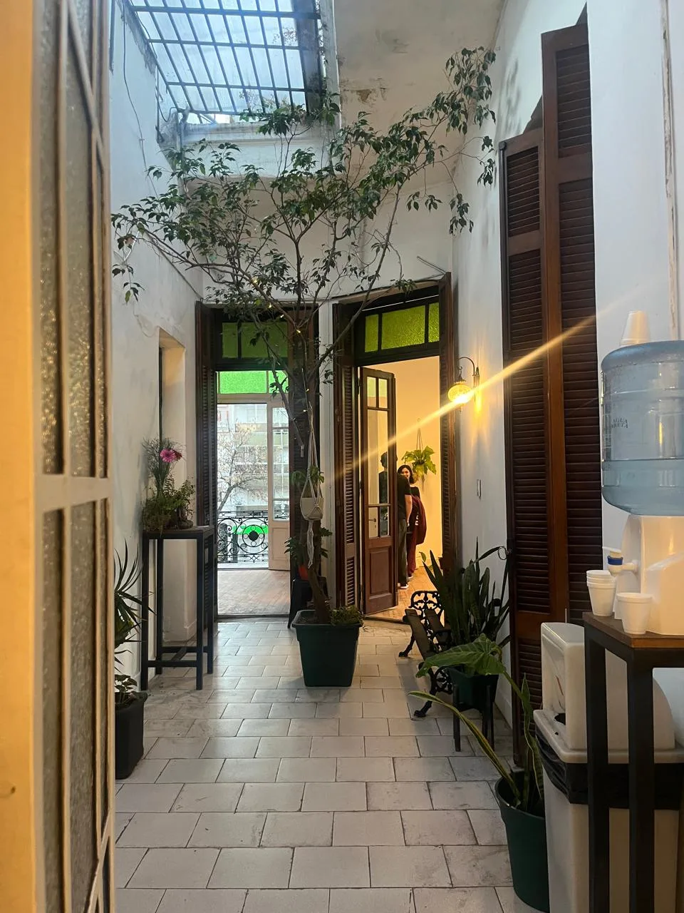 El patio interno, verde y luminoso, que conecta los espacios.
